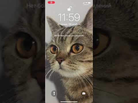 Заполнение OOS с распознаванием