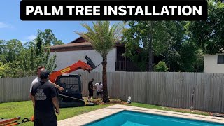 Installing diamond cut "Sylvester Palm Tree" in Florida