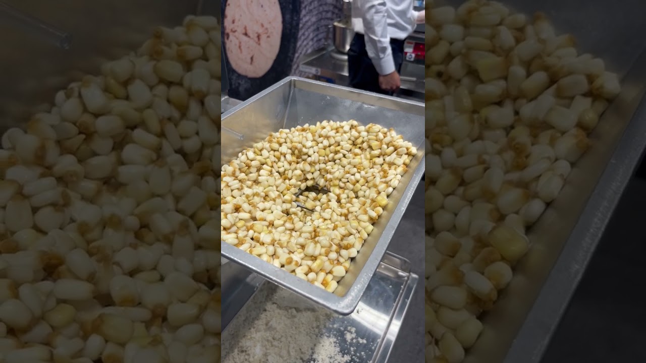 New Molino Master Corn Grinder from Tortilla Masters