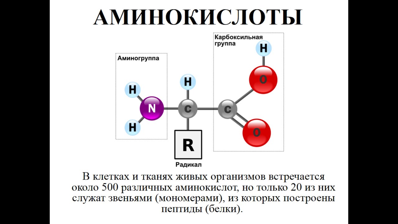 Аминокислоты схема. Аминокислоты с аминогруппой в радикале. Аминогруппа в молекуле углеводорода придает ей:. Аминогруппа донор или акцептор. Аминогруппа донор или акцептор электронов.