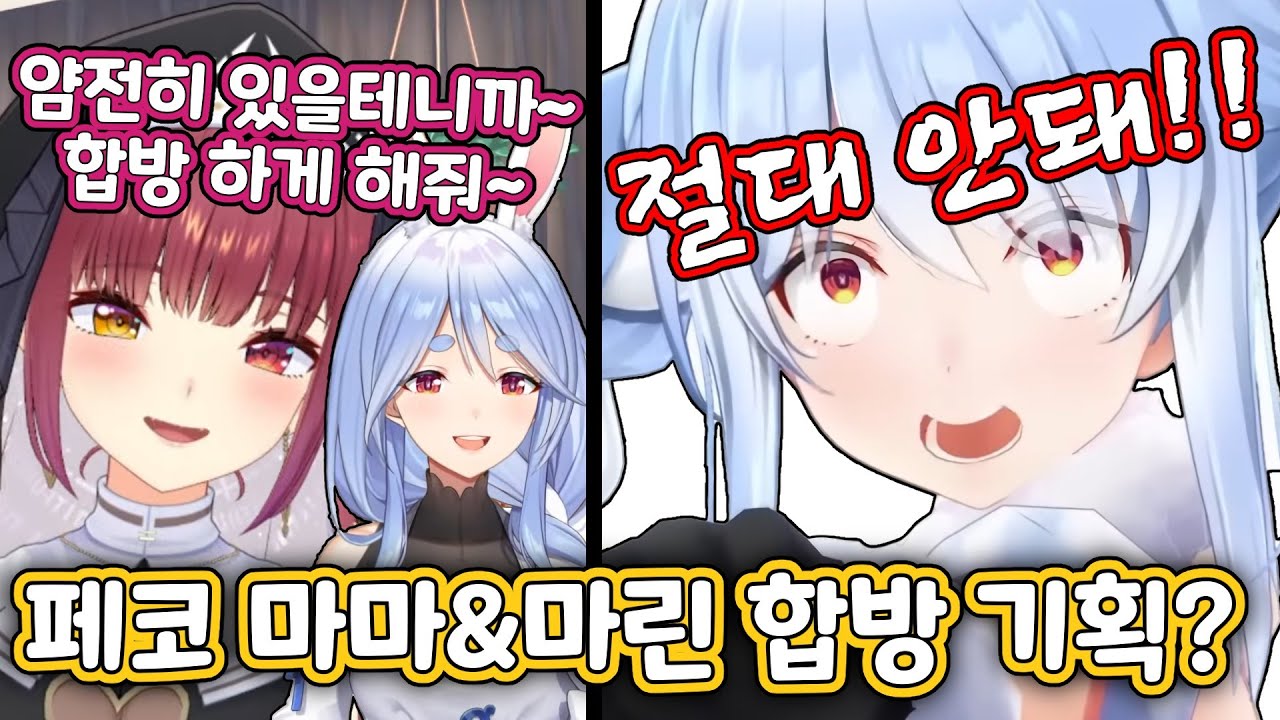 마린한테서 페코 마마를 지키려는 페코라 [홀로라이브/우사다 페코라/호쇼 마린]