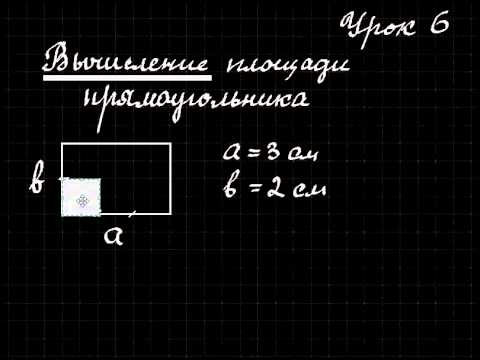 Математика  Урок 6  Вычисление площади прямоугольника