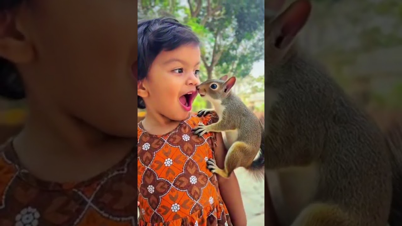 baby short Video #kidsfashion