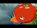 Oggy and the Cockroaches 🥙 TOMATO TOMATO & TOMATO 🥙 Full Episode HD