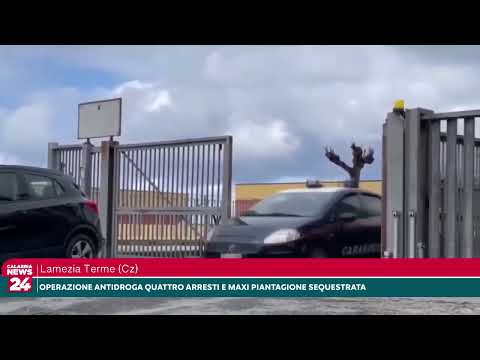 Operazione antidroga nel Reventino quattro arresti e maxi piantagione sequestrata tra Conflenti e…