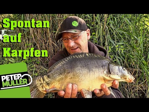 Karpfenangeln - Spontan auf Karpfen | Carp Fishing #fishing