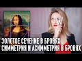 Золотое сечение в Бровях , Симметрия и Асимметрия в Бровях