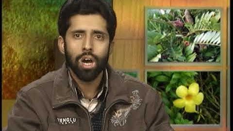 Origin of angiosperms Part I