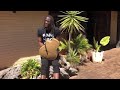 Jah Prayzah: Goto (Zuva Riye) on Acoustic Mbira