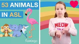 Sign Language Animals - Learn 53 Signs in ASL