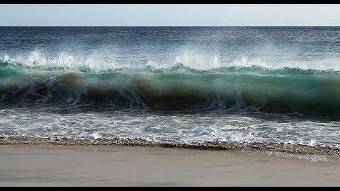 Motions of water and sediment in a plunging breaker on a sandy beach • Playback speed 4x slower