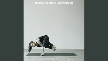 Happening Koto and Strings - Vibe for Zen Yoga