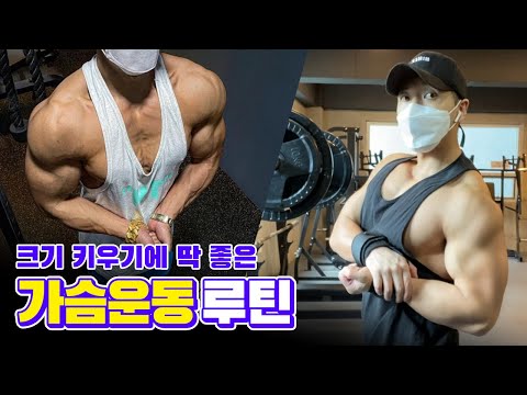 루틴을 이렇게 했더니 가슴이 커졌습니다...;;