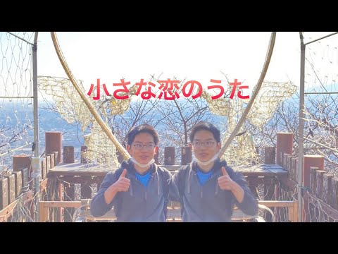 小さな恋のうた
