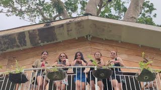 Family Swimming Tree Scape Resort. #bakasyon2025 