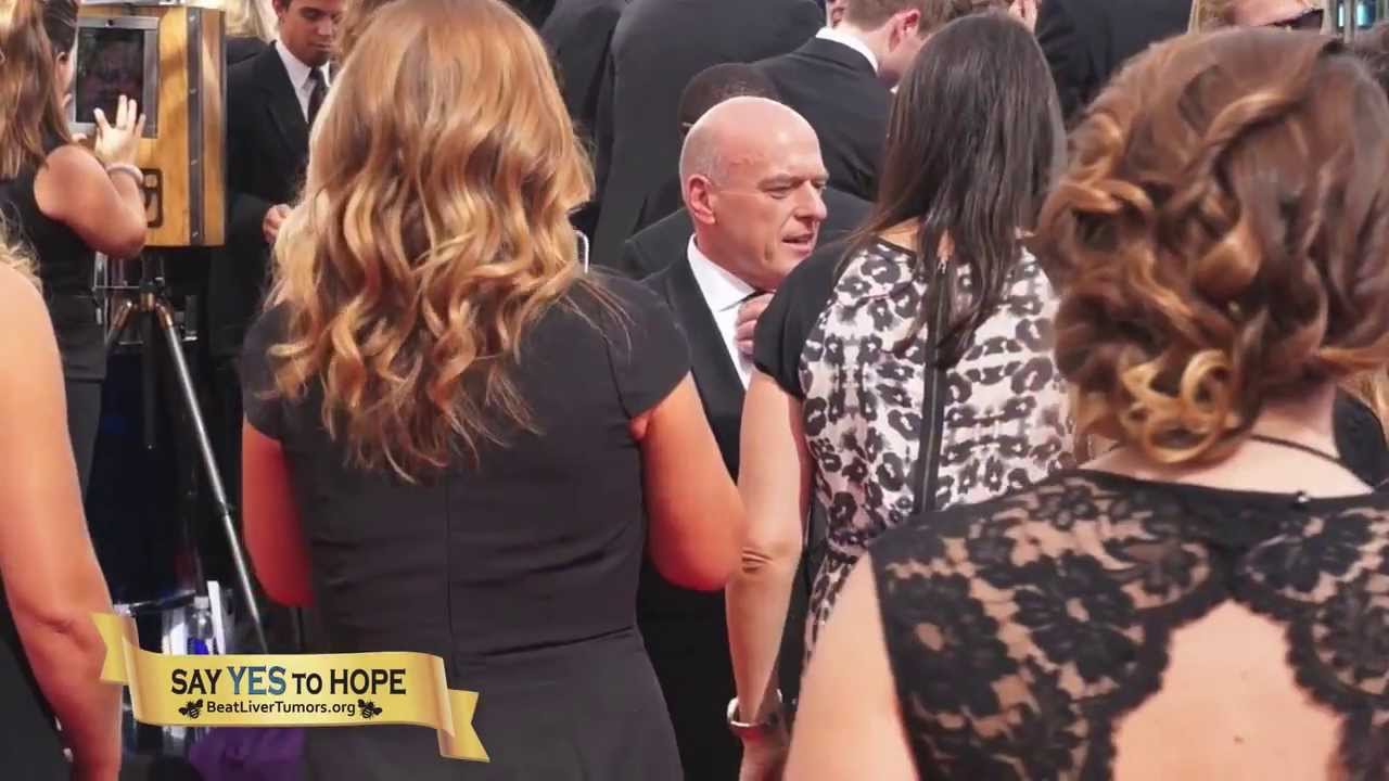 Beat Liver Tumors at the 2013 Emmys