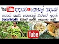 ලේසියෙන්ම සල්ලි හොයන්න පුලුවන්ද?😍 Don&#39;t waste your time✔ YouTube Income  👍 social media income 💪