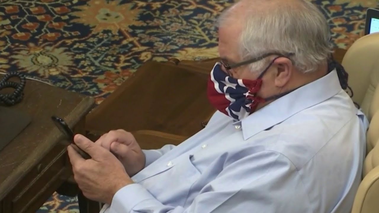 Michigan senator Dale Zorn wears mask that resembles Confederate flag