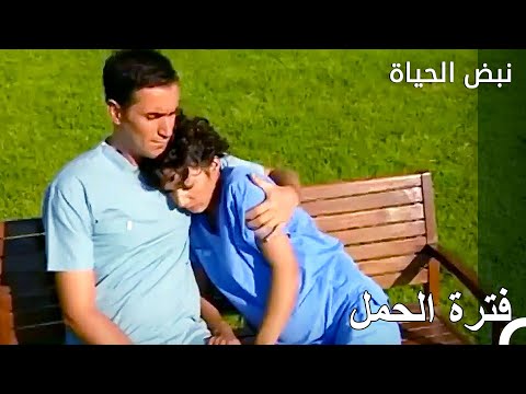 فترة حمل زينان الصعبة نبض الحياة 
