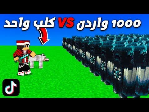 جربت 8 خدع تيك توك في ماين كرافت