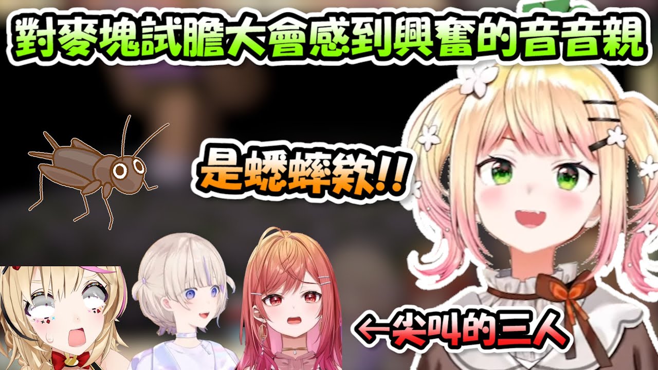 好久不見的音音親參加麥塊試膽大會，對於蟲子要素居多的內容感到很興奮www【桃鈴ねね x 尾丸ポルカ x 一条莉々華 x 轟はじめ】【Hololive/ホロライブ】【vtuber中文字幕】