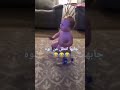 يا ابن الجنيه عملها ازاى ده يخربيت سنينك يا ابن الجنيه عملها ازاى ده يخربيت سنينك