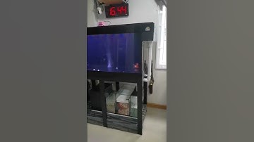 ตู้ปลา 48 นิ้ว 48 x 24 x 24 นิ้ว ระบบกรองล่าง