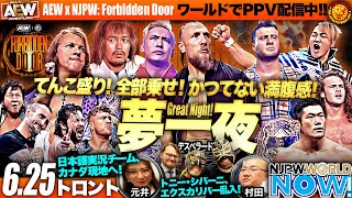 AEW ケニーオメガ、ブライアン•ダニエルソン　フィギュアセット 新日本 DDT AEW ケニーオメガ、ブライアン•ダニエルソン フィギュアセット