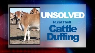 Rural Theft "Cattle Duffing" | Part 2
