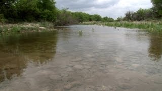 Preserving Green Grazing Even During Drought