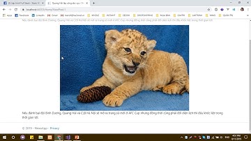 [NET CORE MVC] Bài 10 URL Routing - Rewrite URL