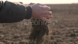 Farmer Hands Holding And Pouring Back Organic Soil - Stock Footage | VideoHive 15455352