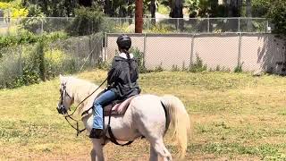 Fast Track Horseback LessonsWestern Video 2