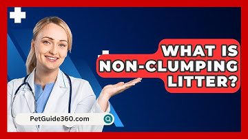 What Is Non-clumping Litter? - PetGuide360.com