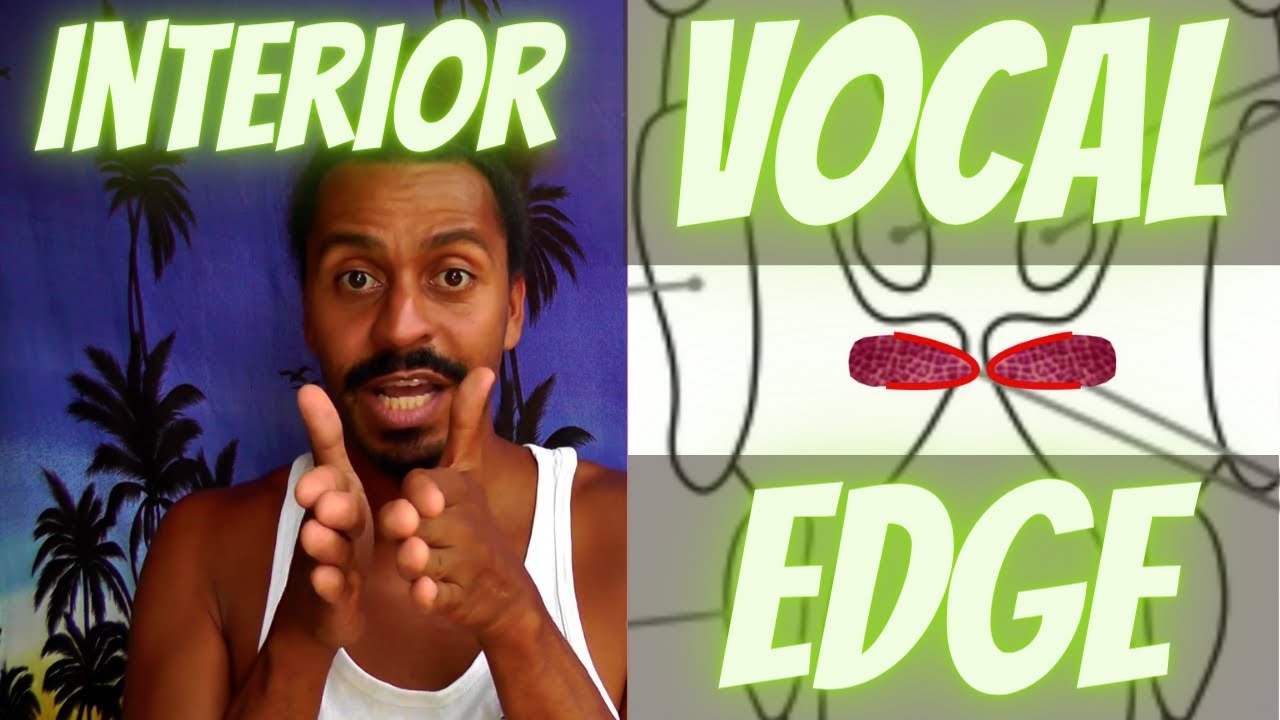 Interior Vocal-Edge – Anatomical Vocal Training (41)