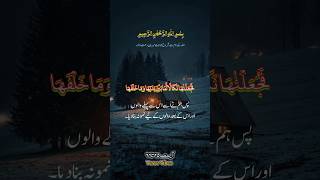 Surah Baqarah | The Cow #shorts #ytshorts #quransurah #versevibes #nature #surahbaqarah #beautiful