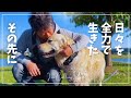 もう君とは信頼関係が切れた|ゴールデンレトリバーと50代夫婦の北海道暮らし