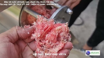 Máy vắt nước cốt bưởi nguyên chất - Điện Cơ Xanh - 0984467870