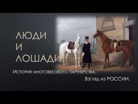 Видео: 40 причудливи крайпътни атракции около САЩ