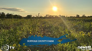 Sunset Hayride at Suffolk County Farm | Long Island TV
