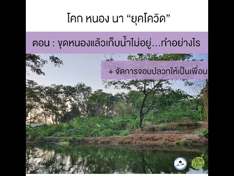 วีดีโอ: หนองน้ำที่ใหญ่ที่สุดในโลกคืออะไรและมีลักษณะอย่างไร