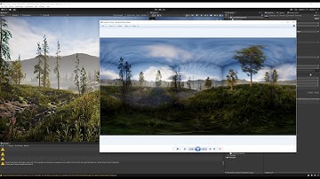 Trying to render panorama image from HDRP forest scene (*it didn