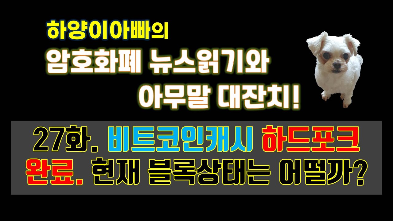 비트코인 캐시 하드포크 일정 (93) 사진