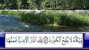 الربع     158/الشيخ محمد جبريل /من سورة القصص