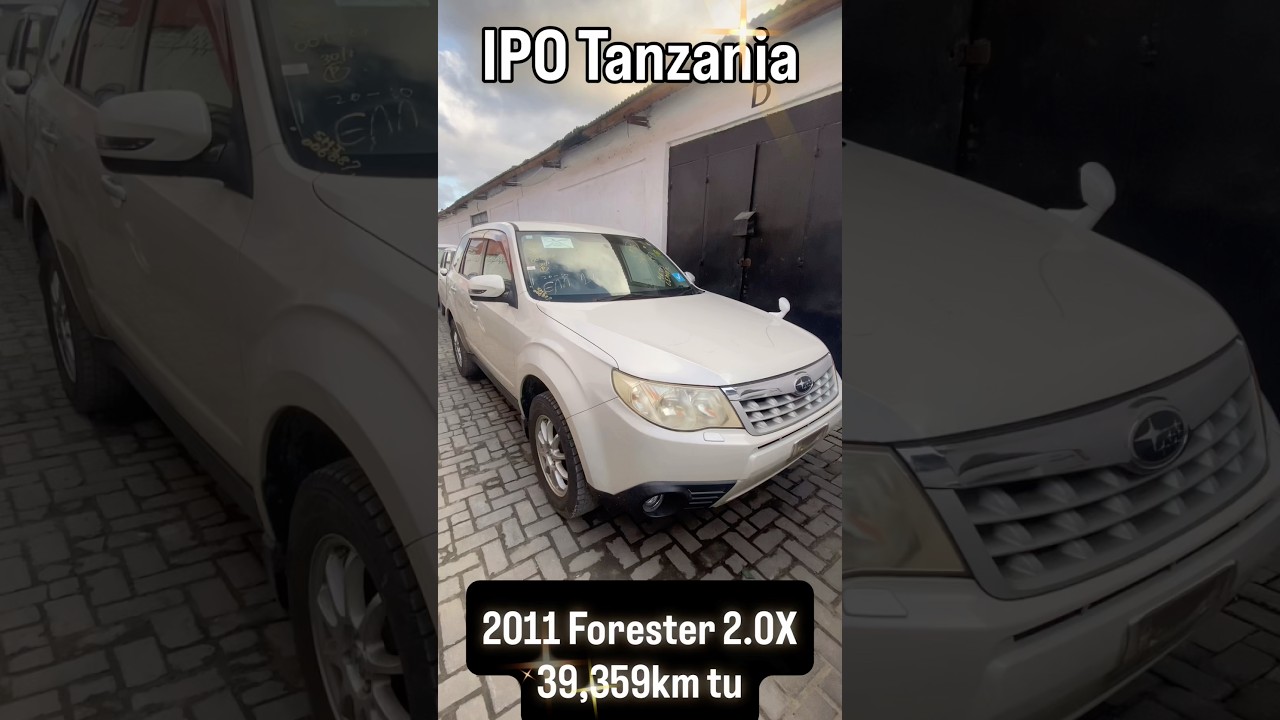 Subaru Forester 2011 Pearl