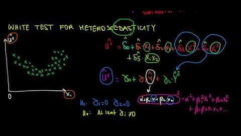 ECONOMETRICS | White Test for Heteroscedasticity