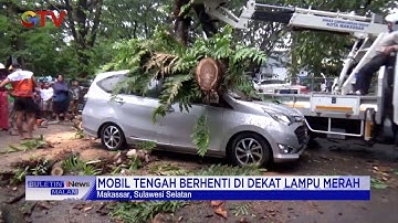 Pohon Tumbang, Timpa Mobil di Makassar, Penumpang dan Sopir Selamat #BuletiniNewsMalam 10/10