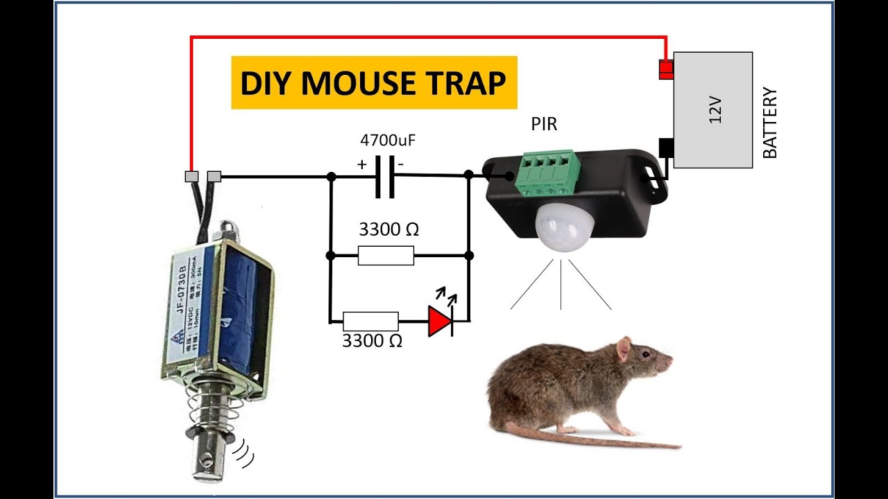 DIY Electric Mouse Trap at home / How to make Electronic Rat Trap 