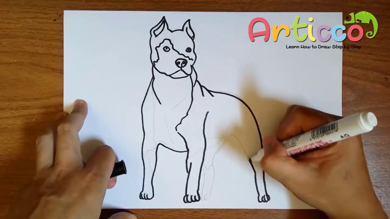 how to draw a mean pitbull