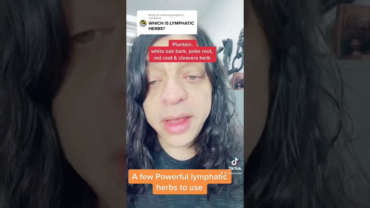 The best herbs for healing your lymphatic system